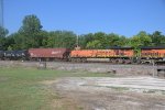 BNSF 6038 Roster shot